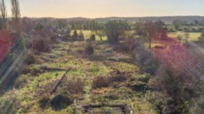 Development Opportunity in Alford photo